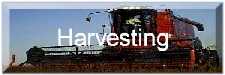 *Harvesting*